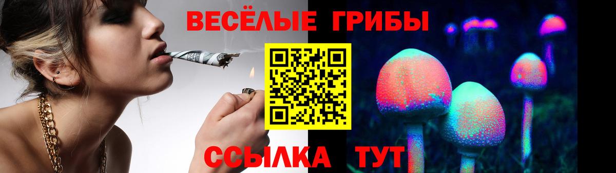 цены   Галлюциногенные грибы мухоморы  Вход с VPN  Ртищево 