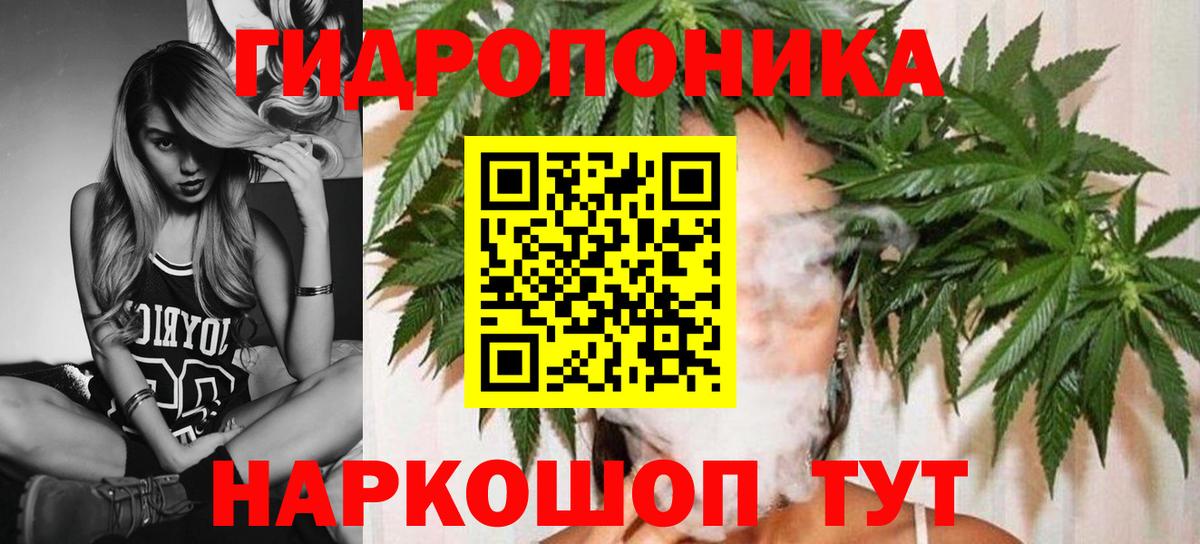 Конопля Ganja Ртищево